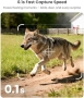 Нова соларна камера за диви животни 4K 64MP Bluetooth App 0.1s тригер, снимка 6