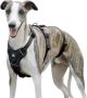 Paworld Escape регулируем нагръдник за големи кучета (розово червено, зелено сиво - XL, черен S ), снимка 1 - За кучета - 44913155