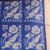 Пощенски марки БЪЛГАРСКА РОЗА НРБ чисти без печат за КОЛЕКЦИОНЕРИ 44497, снимка 5 - Филателия - 45297219