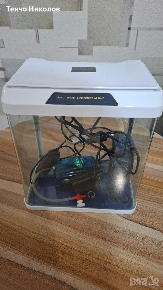 Аквариум , снимка 1