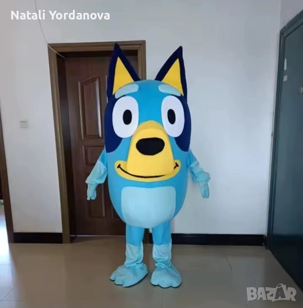 Маскот под наем Bluey, снимка 1