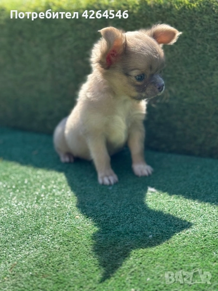 Момче , снимка 1