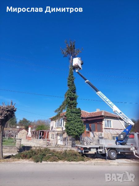 Автовишка под наем . Услуги с вишка 18 м., снимка 1