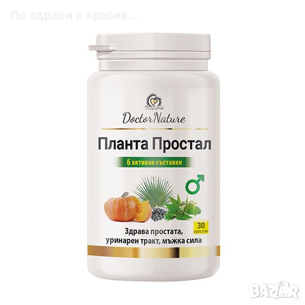 Dr. Nature Планта Простал, 30 капсули (009), снимка 1