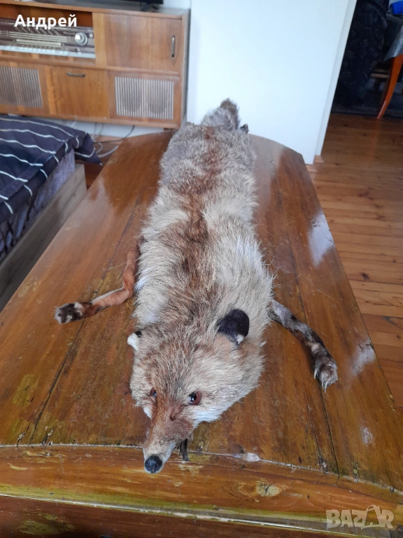 Стара кожа,яка от лисица #2, снимка 1