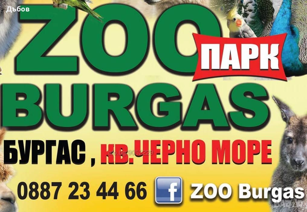 работници в зоопарк Бургас  мъже - 2000лв, снимка 1