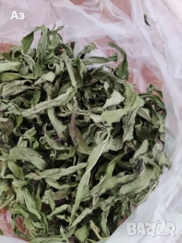 Продавам Сух джоджен (на листа или наронен), реколта 2025 г., снимка 4 - Домашни продукти - 46910995