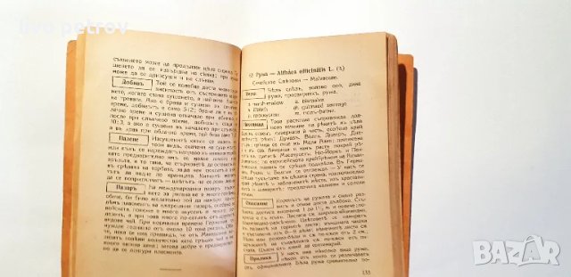 Нашите  билки    Богомилъ  Гъбевъ  част втора 1941г, снимка 5 - Специализирана литература - 48775454