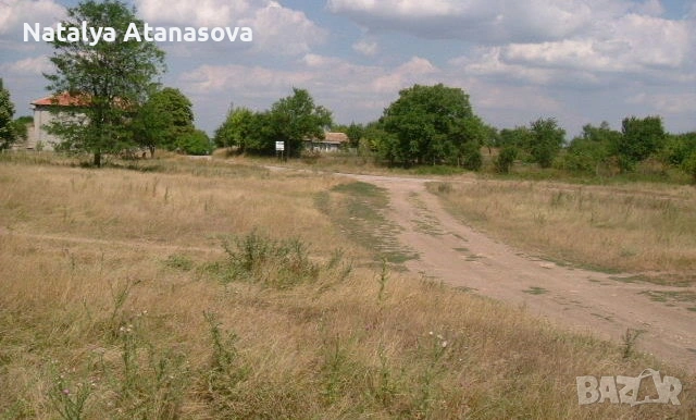 Парцел за продажба в Бдинци, Добрич, снимка 6 - Парцели - 53635006