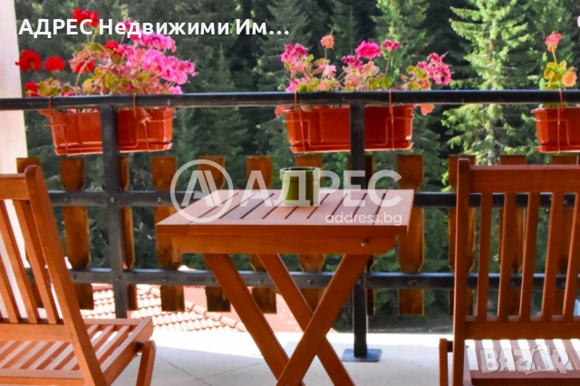 Продава, къща/вила с. Стойките,  обл. Смолян, снимка 5 - Къщи - 52524325