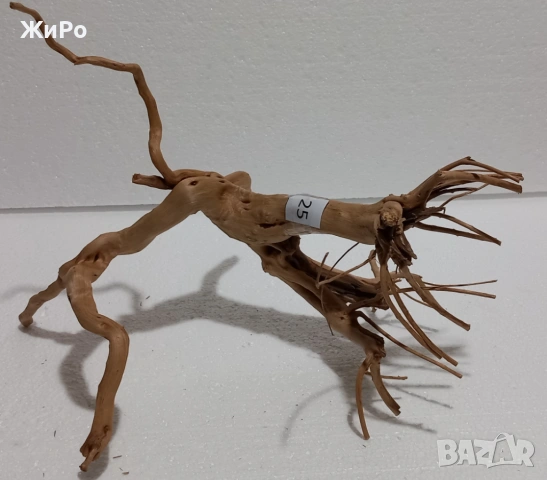 Корен от Азалия /декорация/ 25, снимка 4 - Други - 53396788