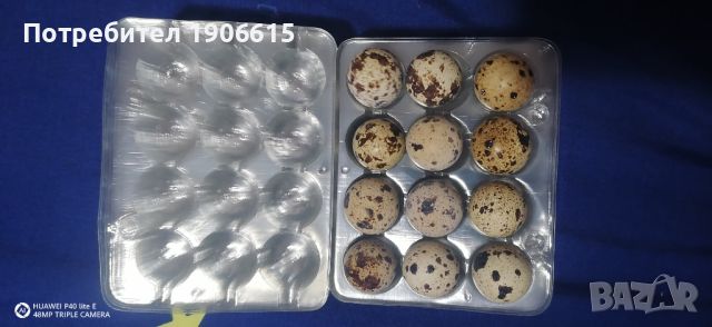 Опаковки за пъдпъдъчи яйца , снимка 3 - Друго търговско оборудване - 46324299