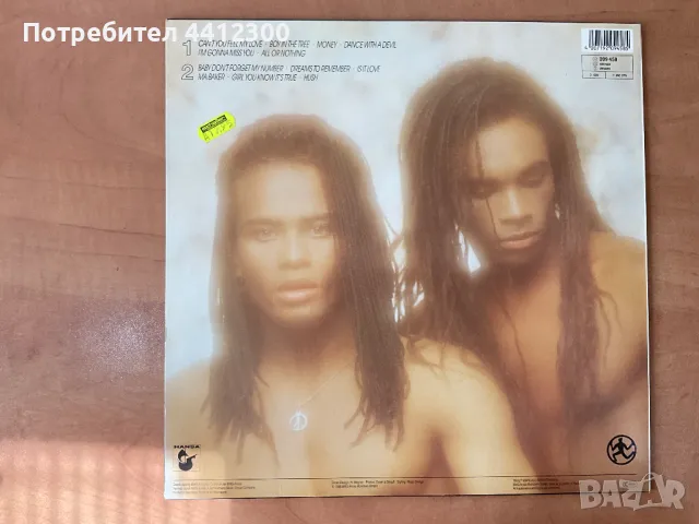 Грамофонна плоча 12”, снимка 2 - Грамофонни плочи - 49732682