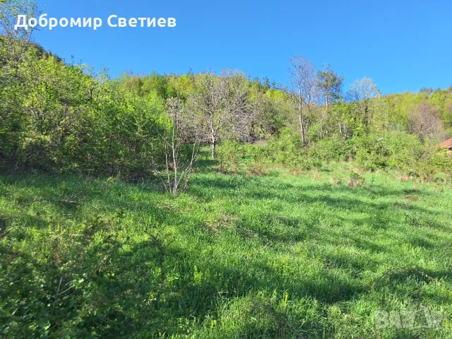 парцел в Еленският балкан , снимка 15 - Парцели - 50342176