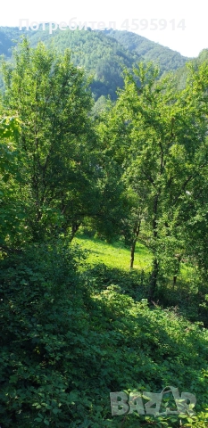 Изгодна къща с двор в с. Васильово, до Тетевен и Рибарица, снимка 2 - Къщи - 51951700