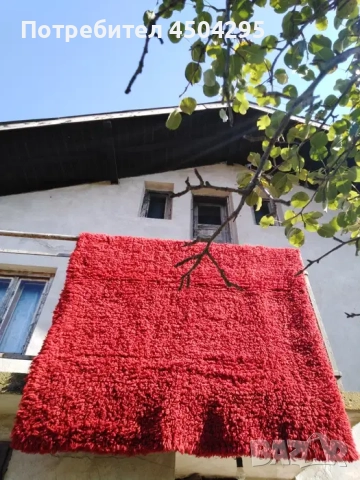 Китеници, чиста вълна 