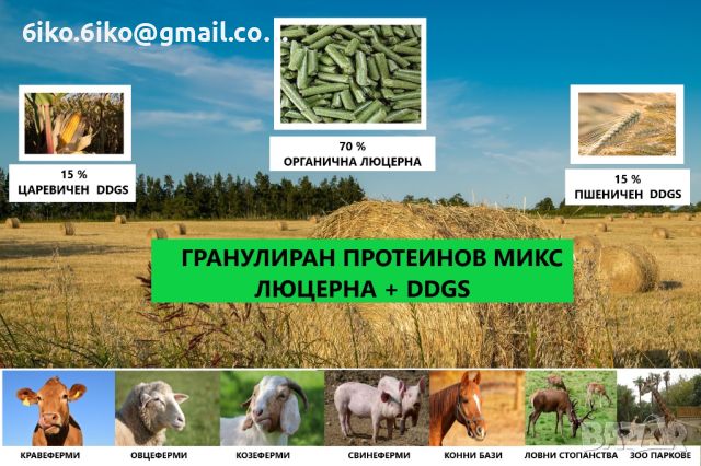 Гранулиран протеинов микс - Люцерна,пшеничен DDGS,царевичен DDGS, снимка 1 - За селскостопански - 45821754