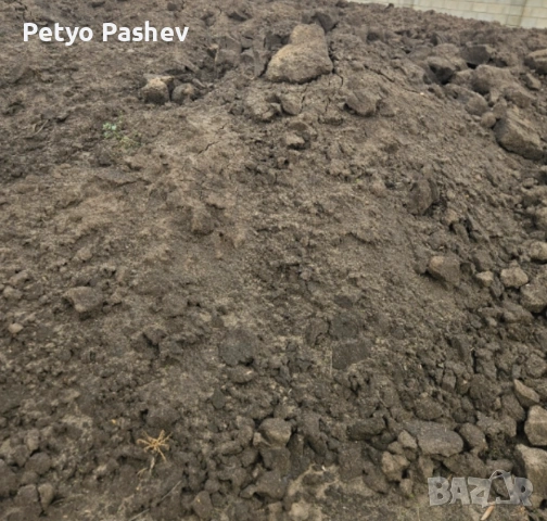 Угнил истински говежди тор!70евро, снимка 2 - Тор и почвени смеси - 53940438