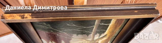 Рисувана картина на фазер, снимка 5 - Картини - 54205579