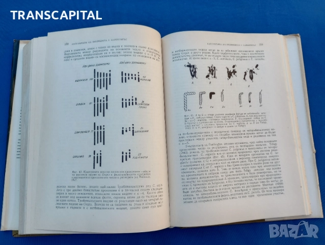 Изменчивост и еволюция на растенията , снимка 7 - Специализирана литература - 51794363