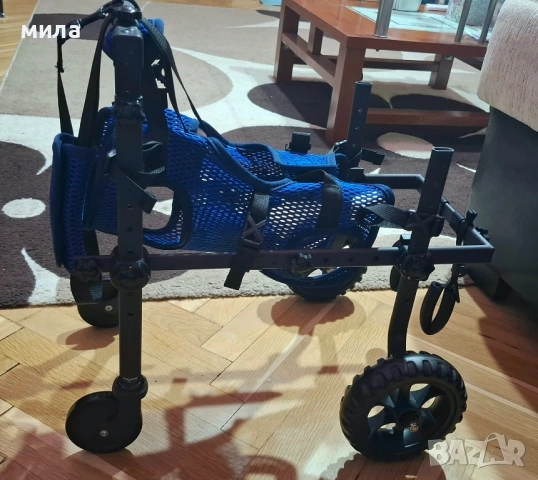 Инвалидна количка за куче xs размер