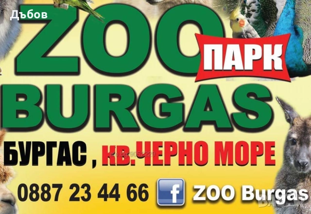 работници в зоопарк Бургас  мъже - 2000лв