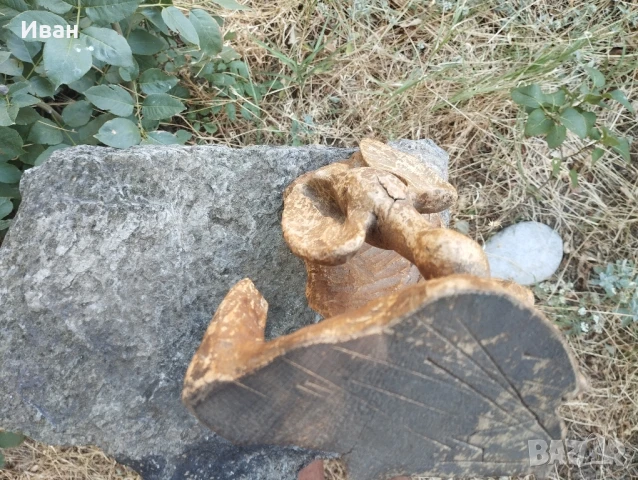 Дърворезба , снимка 4 - Декорация за дома - 51017593