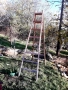 Продавам здрава двойна дървена стълба, снимка 1