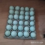Яйца за люпене от Аракуана , снимка 1