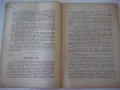 Списание "Житно зърно - бр. 10 - 1943 г." - 32 стр., снимка 4