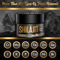 Хималайски Шилажит - Сироп Shilajit, за енергия и жизненост, снимка 3 - Хранителни добавки - 46086560