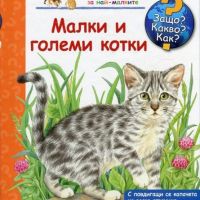 Енциклопедия за най-малките: Малки и големи котки, снимка 1 - Детски книжки - 45341234