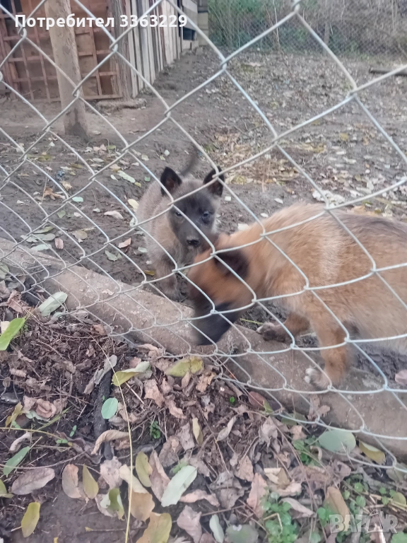 Продавам , снимка 1