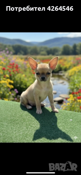 Уникално момче, снимка 1