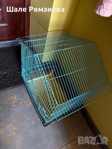 Клетка за канарче, снимка 2 - Канари - 53657171