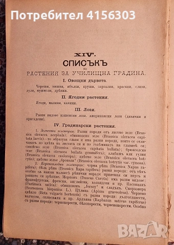 Пеперуди + Наставления за уредбата и гледането на училищните градини. 1896. , снимка 11 - Градински цветя и растения - 53784348