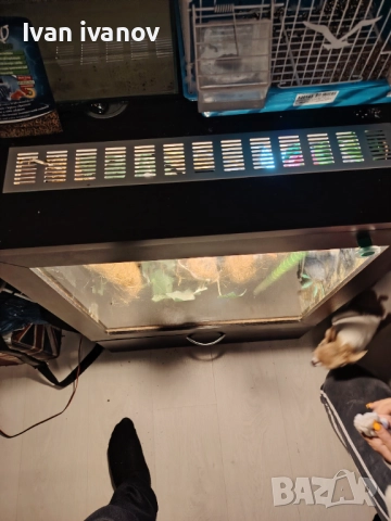 Терариум , снимка 6 - Терариуми и оборудване - 52296542