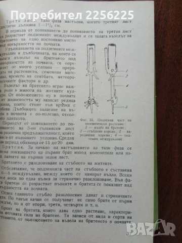 Растениевъдство, снимка 8 - Специализирана литература - 50959701