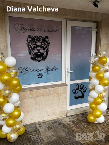 Цялостен груминг за Вашия домашен любимец