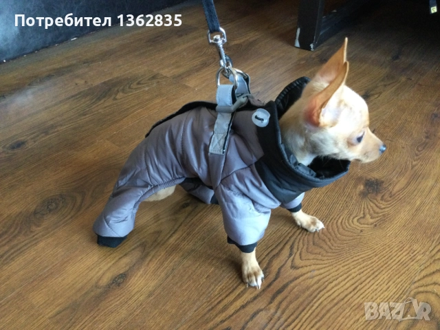 НОВ топъл сив зимен гащеризон за куче от Италия S и M размер, снимка 4 - За кучета - 51929265