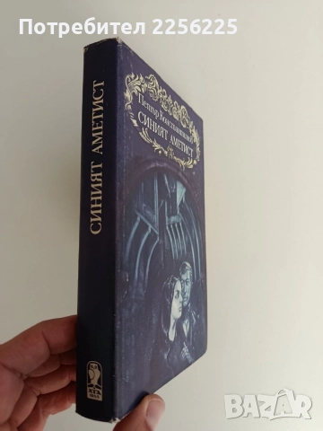 Синият аметист, снимка 6 - Художествена литература - 52791092