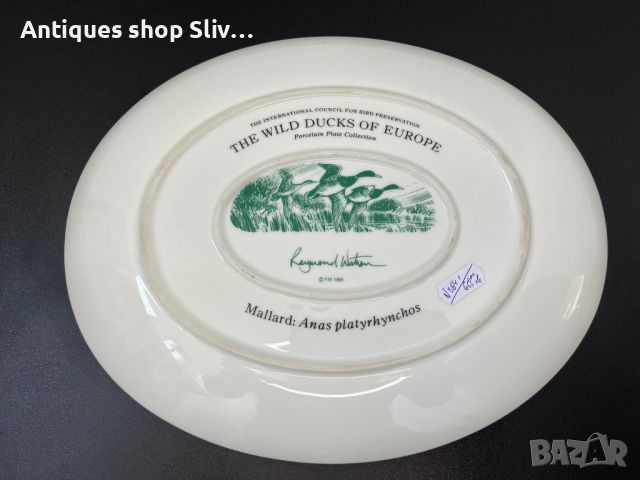 Порцеланова чиния - Дивите патици на Европа. №5502, снимка 6 - Антикварни и старинни предмети - 46136397