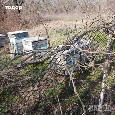 Стари пчелни кошери,12 рамкови, к-т с магазини и рамки., снимка 3 - Други - 53656038