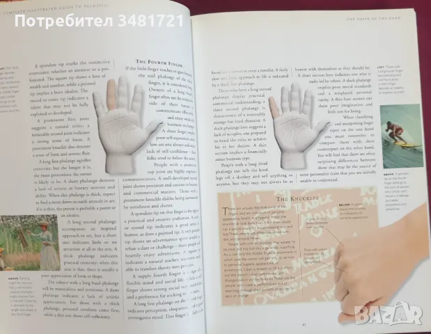 Илюстрирано ръководство по хиромантия / Complete Illustrated Guide to Palmistry, снимка 5 - Езотерика - 47887783