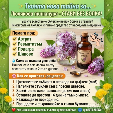Тинктура от люляк – природна грижа за ставите