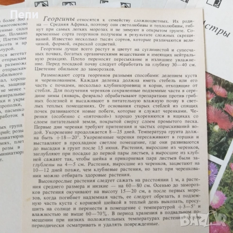 Комплект, каталог за цветя, снимка 6 - Други ценни предмети - 52221302