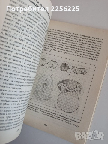 Цитология, хистология и ембриология, снимка 9 - Специализирана литература - 53861624