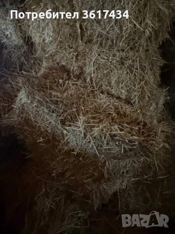 Бали, Слама, Сено, снимка 3 - За селскостопански - 53658974