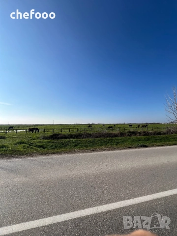 Продава се парцел в с.Житница, снимка 2 - Парцели - 52800724