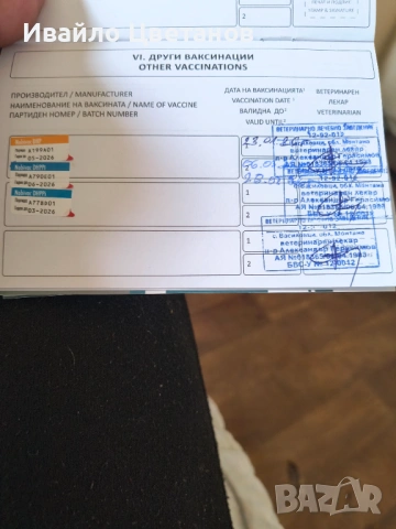 Алабай, снимка 5 - Алабай - 53766290